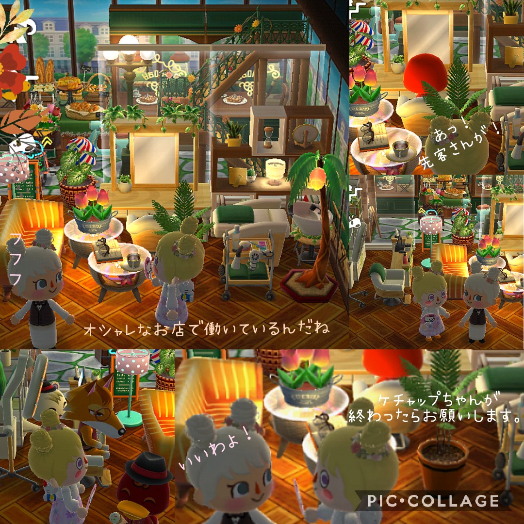 mofupokemori はなももちゃんの✂️💈床屋さんに行って来ました