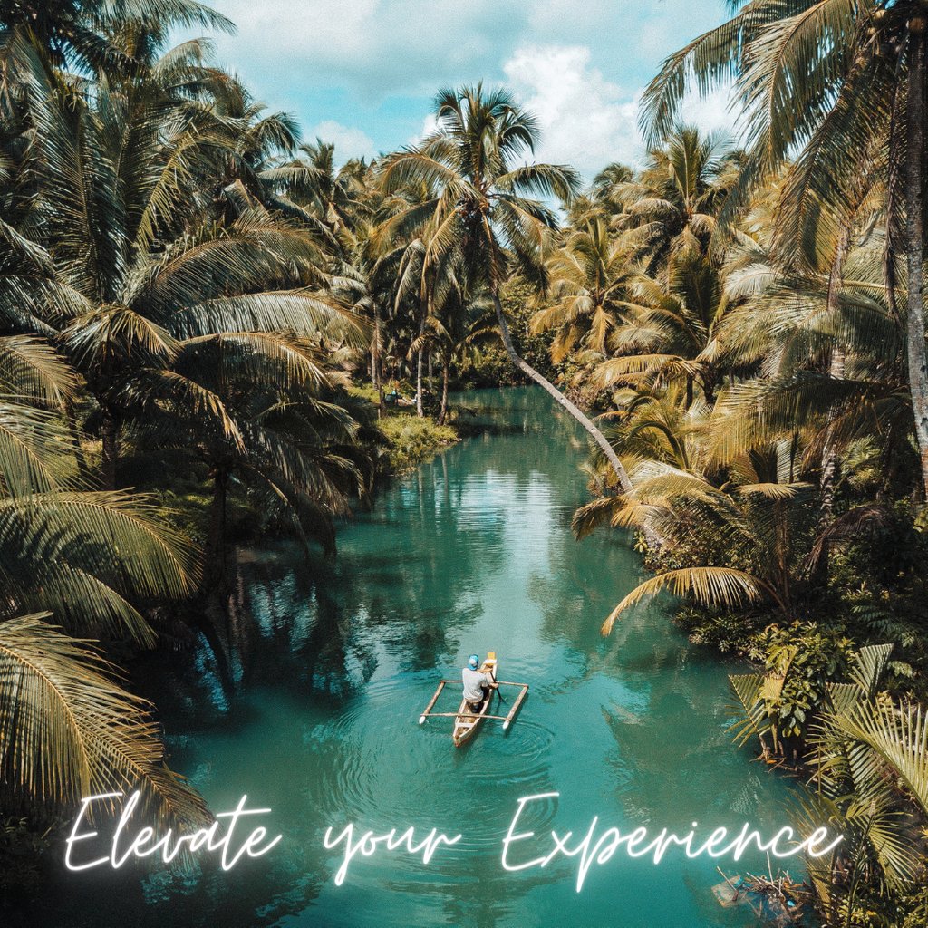 Let’s chat about how you can elevate your travel experience. #TravelElevates