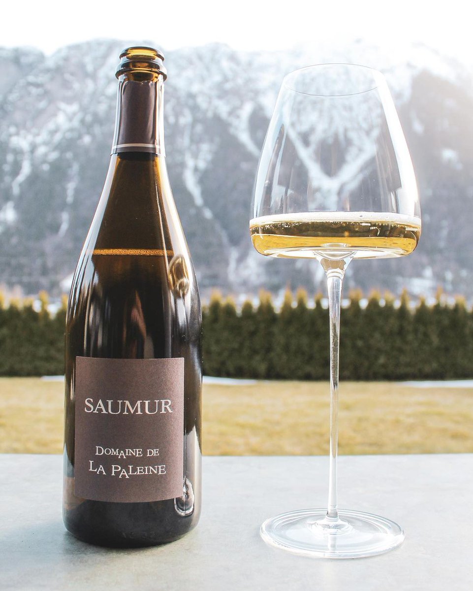 Tasting notes of Saumur Brut by @wine_with_chris_
Winemaker: @domainedelapaleine, Saumur 🇫🇷
⠀⠀⠀
📝 This Saumur Brut is an absolute bargain for the price and I really urge you to stock up on this for any aperitif, seafood or creamy poultry dishes. I just love it! 😍