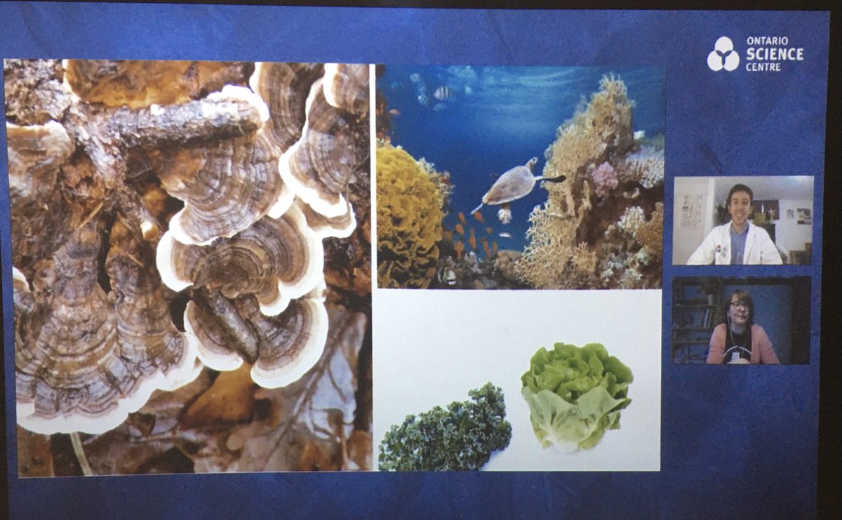 Geometry in nature with the Ontario Science Centre today! ⁦<a href="/GoodfellowPS/">Goodfellow P.S.</a>⁩