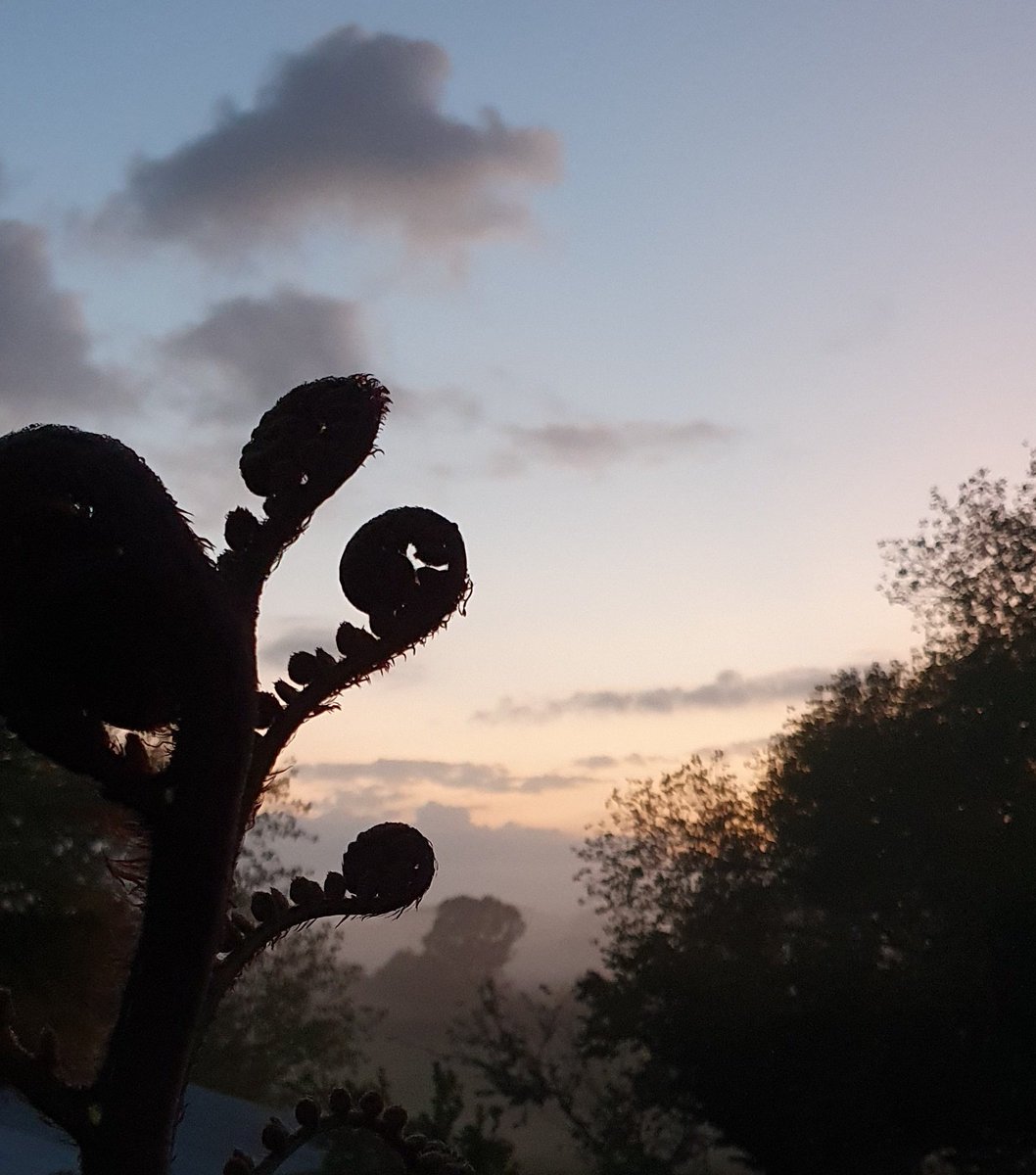 PanicCrab's tweet photo. Who doesn't love the Waikato on mornings like this? https://t.co/RP0V5XEeDL