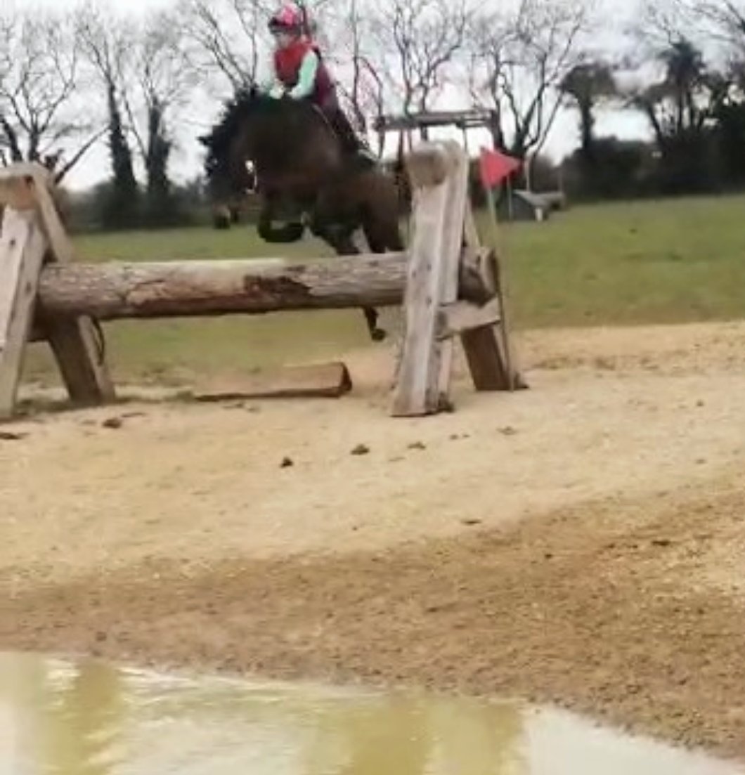 VetGoneEventing's tweet photo. Leo's turn today, feeling fab and confident his first time out this year. Rising 6 by Take It 2 The Limit @Glenwoodstud #YuMovePlus 
Excited to get him out this season 😍 https://t.co/dEZFxl6o0M