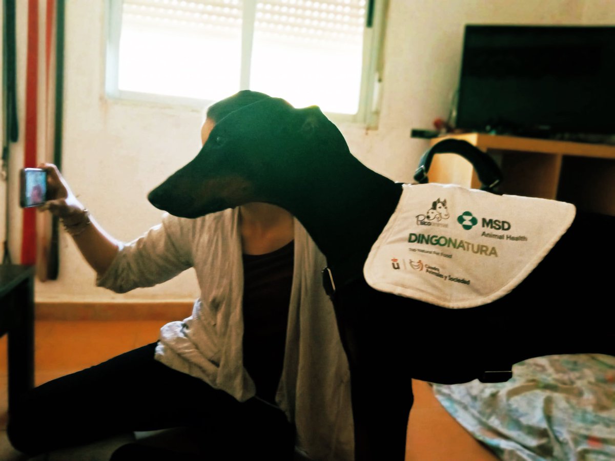 “Somos de colores” está imagen cuenta una historia de segundas oportunidades, del perro y de la niña que está al otro lado. Gracias Rocío y Aia de <a href="/PsicoTAA/">PsicoAnimal Terapias Asistidas con Animales</a> #Huellasdecolores <a href="/PilarNotario1/">Pilar Notario</a> <a href="/DopadoEduar/">Eduardo López</a> <a href="/Dingonatura/">Dingonatura</a> <a href="/MSDAH_es/">MSD Animal Health España</a> <a href="/URJCcientifica/">URJCcientifica</a>