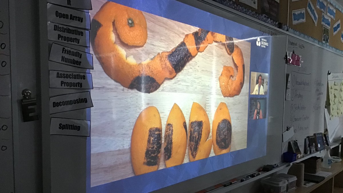 Kculhane211's tweet image. Math is LITERALLY everywhere! Today we learned a little more about geometry (Euclidean, spherical, hyperbolic) and finding it in our everyday lives. @EthelGardinerPS @HDSBScienceTech @HaltonDSB @OntScienceCtr #geometryinnature