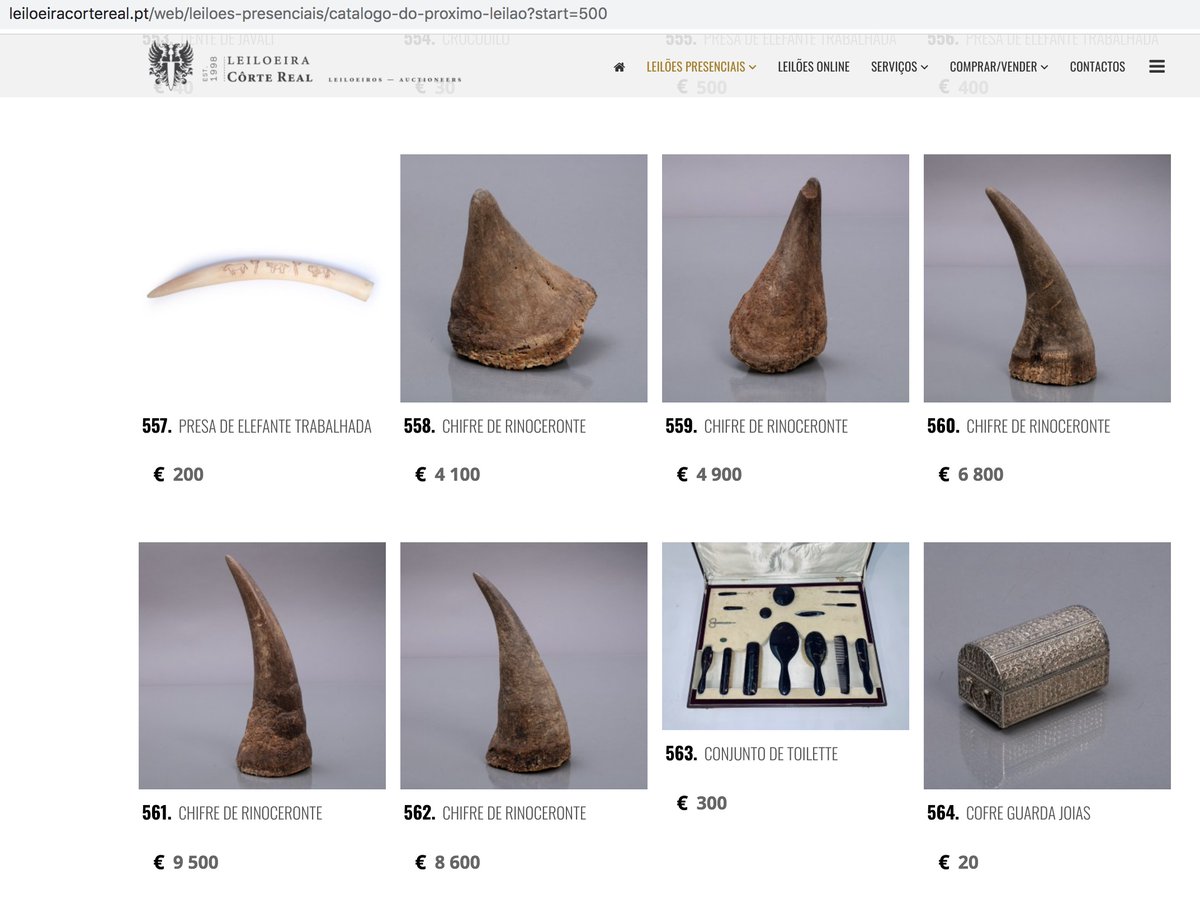 BREAKING NEWS! Portuguese auction house 'Leiloeira Corte Real' plans to auction off 5 #rhino horns on Friday. If you think that's a bad idea please let them know: leiloes@leiloeiracortereal.pt leiloeiracortereal.pt/web/leiloes-pr… leiloeiracortereal.pt/web/leiloes-pr… (lots 558-562) #STOPBloodRhinoAuction