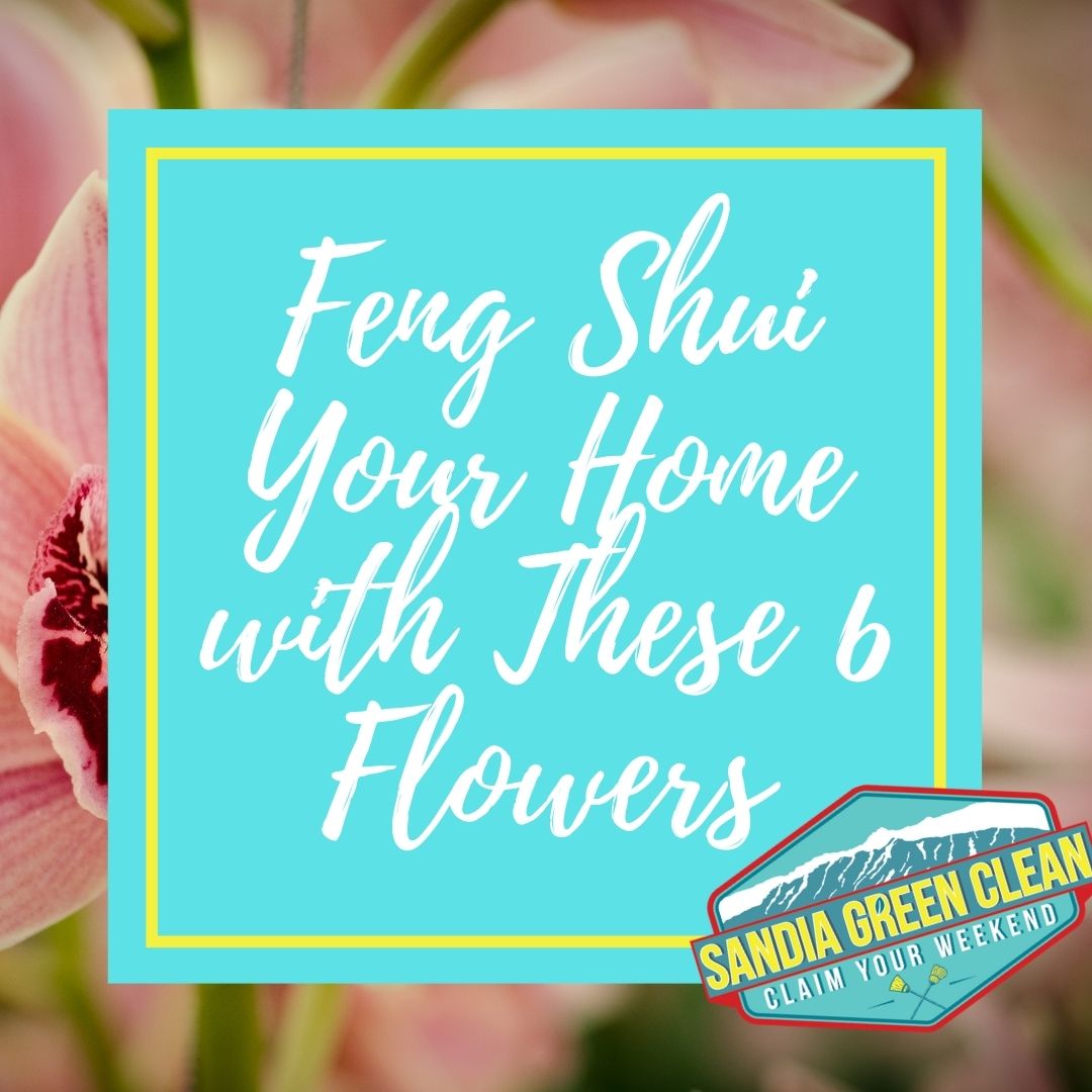 sandiaclean's tweet photo. Find out why feng shui says these six flowers will make your home happier (and your bank account fuller)... https://t.co/TmXxZx0ykE https://t.co/c7CrG16XrG