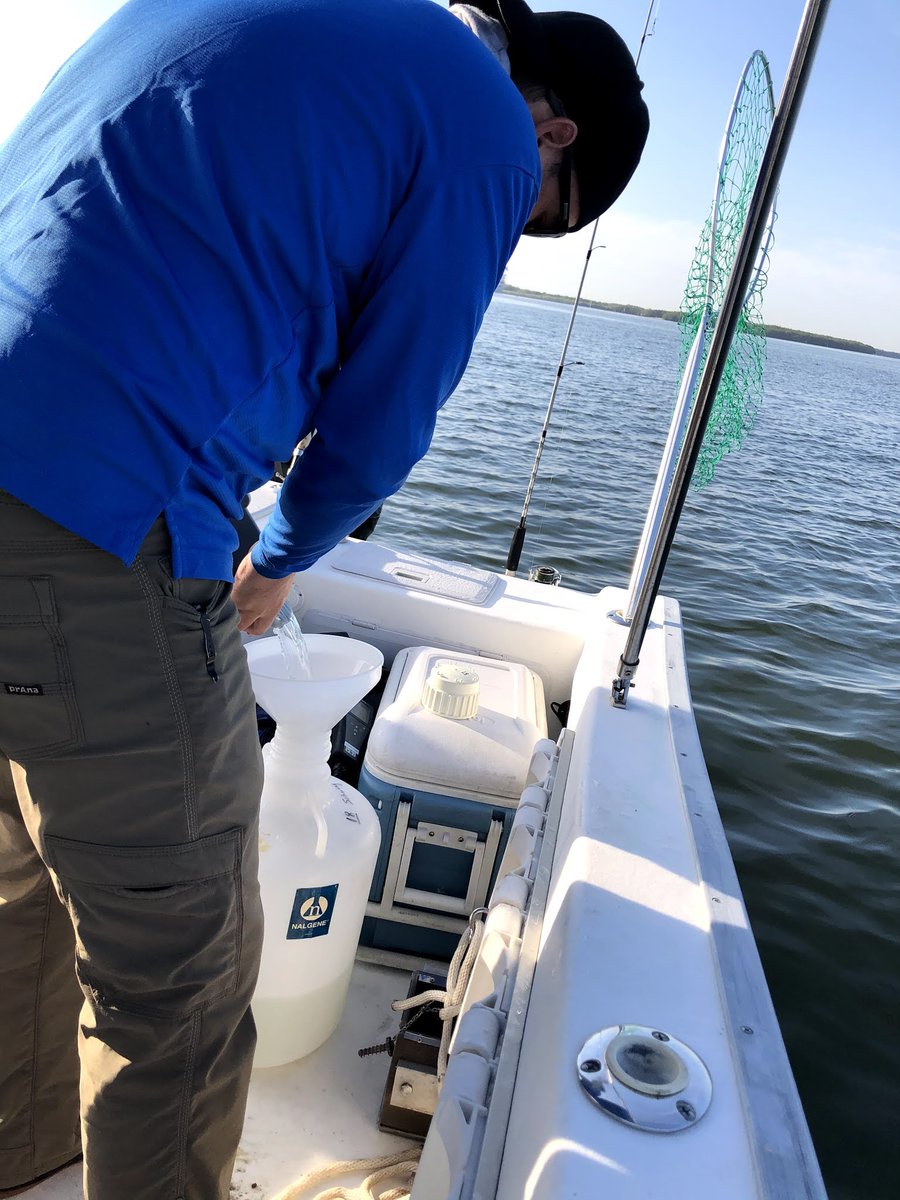 Eckerd researchers Patrick Schwing ’06, Visiting Assistant Professor of Marine Science, and Rebekka Larson ’01, Research Scientist, are on the water today taking water and sediment samples in Tampa Bay that will be used to analyze the effects of the #PineyPoint wastewater flow.