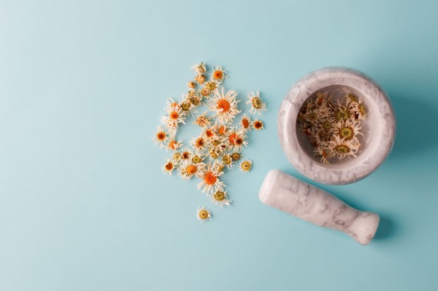 LindaJoy's tweet photo. Medicinal garden teas are not just for drinking, they are also a powerful tonic for your hair. @ruralmoms  https://t.co/wrbd4bDBmF  #AspireMag https://t.co/i2EdqP9bE7