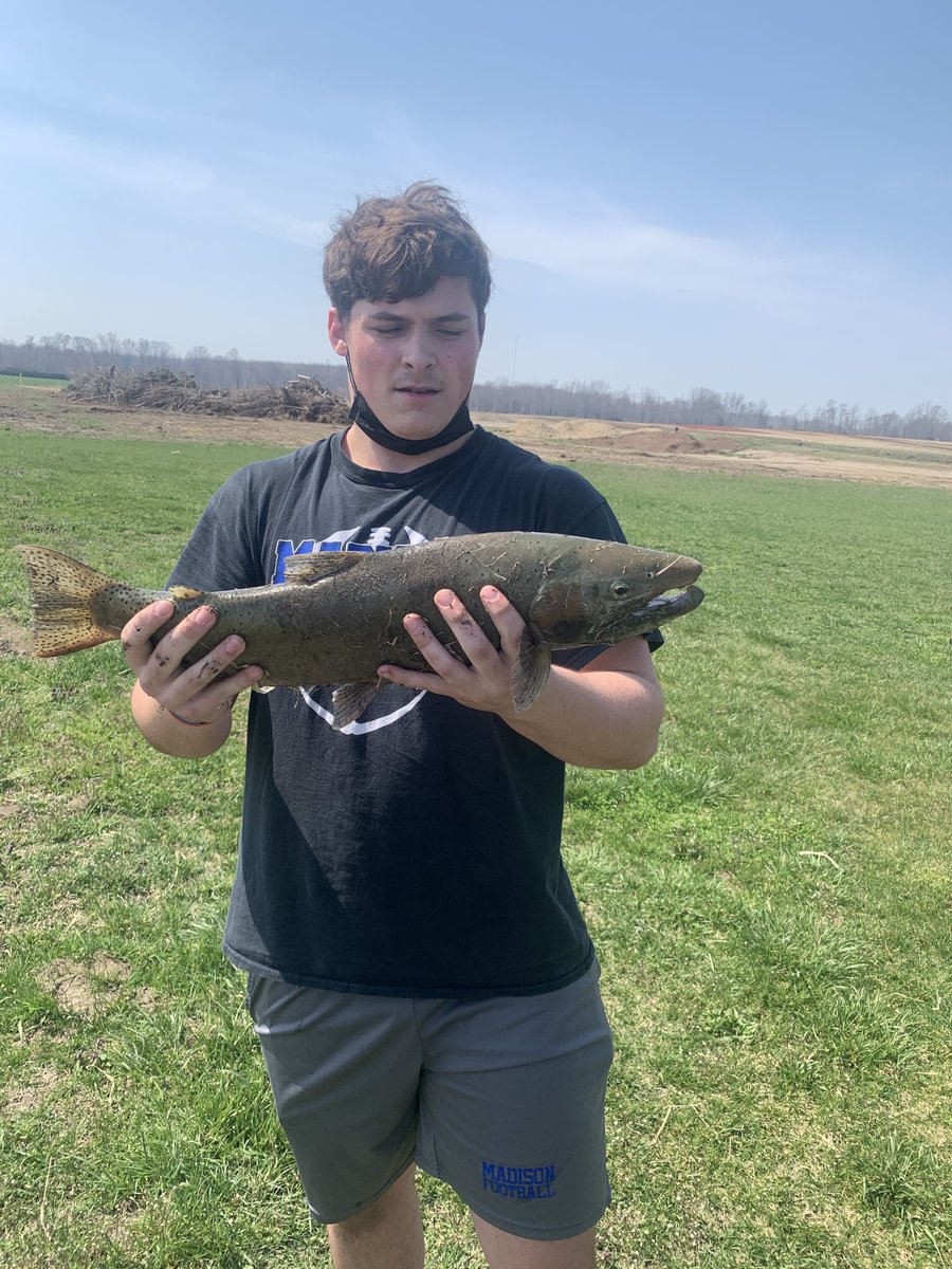 ecology_mhs's tweet image. Great 1st day fishing with Ecology.  Students generate raw data to settle the long standing debate over natural versus artificial bait.  They will discuss the variables and controls used to quantify their findings.  A perfect blend of State Standards &amp;amp; Educating the Whole Child.