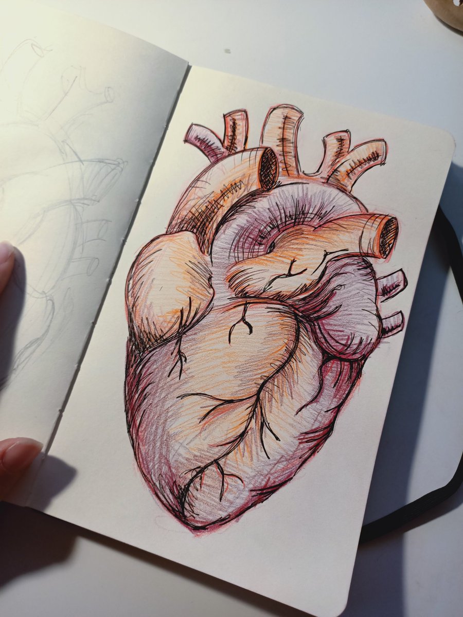 trazotropia's tweet photo. ¡Ya somos 300 seguidores! 🤗🥰

🌼Muchísimas gracias a todos por vuestro apoyo 🌺

Os mando un corazoncito recién hecho lleno de amor 🥰❤️

🌻https://t.co/MUEMHYAcoM

#ilustracion #pencilheart #heart #painting #workart #artist #artheart https://t.co/XhhaO2dPN6