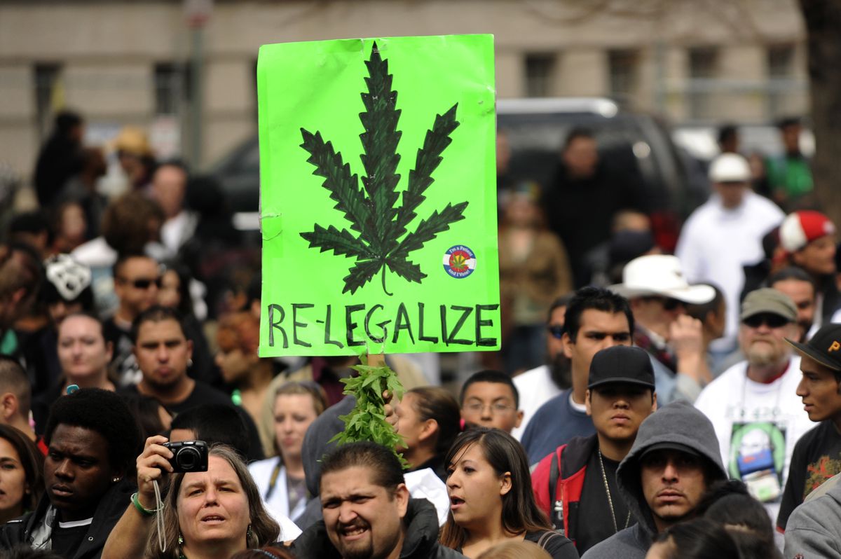 AgroLighting's tweet photo. @NORML https://t.co/n7UlD4Zg1u