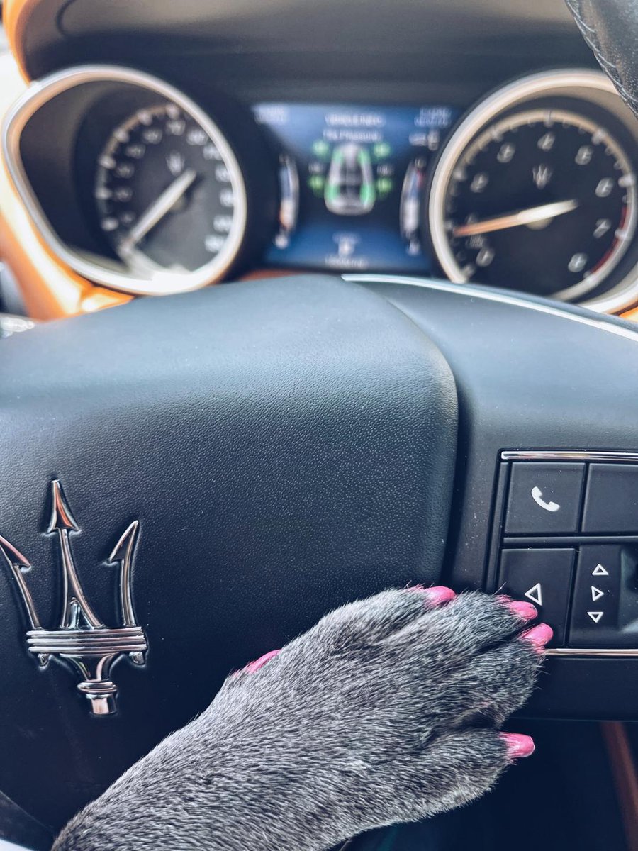 On Wednesdays we wear pink!

📷Lola's spa day by <a href="/rsbpevents/">Brooke Palmer Kuhl</a>