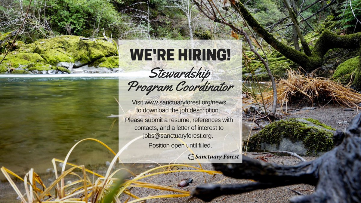 Sanctuary Forest tweet media