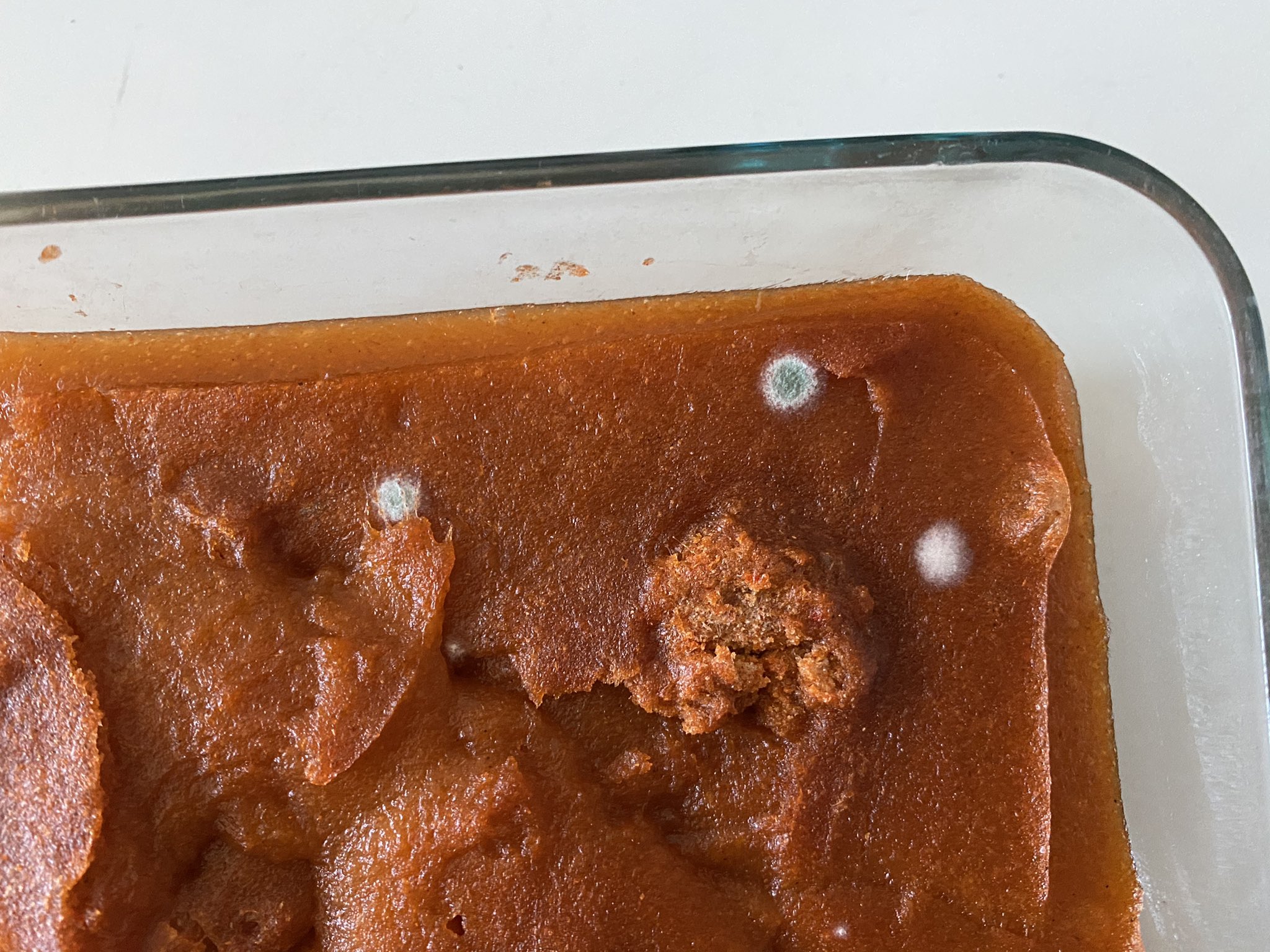 Chubbyemu on Twitter "Ate some psyllium husk fiber from my video this