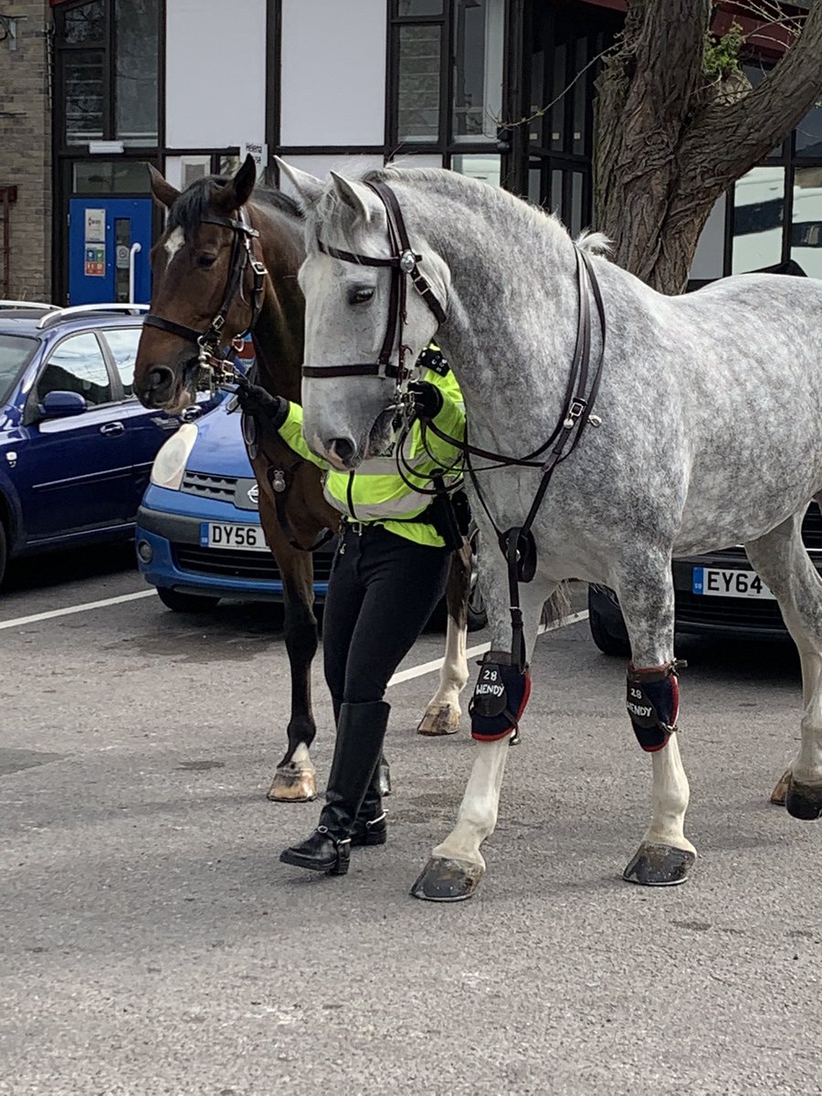Thank you so much @MetTaskforce for bringing this 2 beauties to meet us, really made my day and was forgiven for being late @AlisonG13100467 @NewhamHospital @NHSBartsHealth #Horsepower #Horsetherapy #love