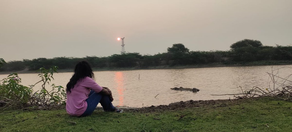 MinniMenu's tweet image. 🌄