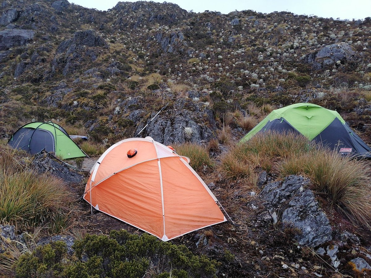 iamguillermo_'s tweet photo. #Morrales listos para ir a la #Montaña #Doite 80 y 74 litros, #Acadia de 65 litros y #Ecology de 70 litros... 🏔️🌄
#Carpas listas 🏕️ #Coleman #Acadia 
Que Esperas? 🤷‍♂️🤭
📸@iamguillermo_
#Merida #MeridaPreciosa #Venezuela #ParamoAndino #SierraNevada #SierraLaCulata https://t.co/hijNw0oFzd