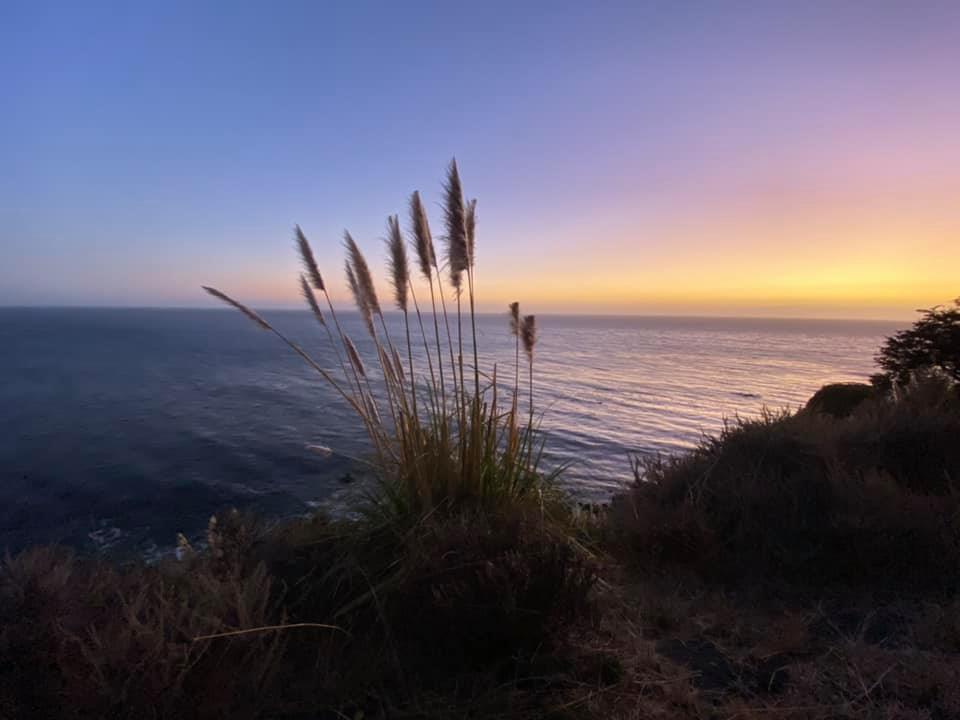 When you ignore a problem, you ignore the solution. When you ignore pain, you ignore happiness. When you open the door of Awareness, your world will change.