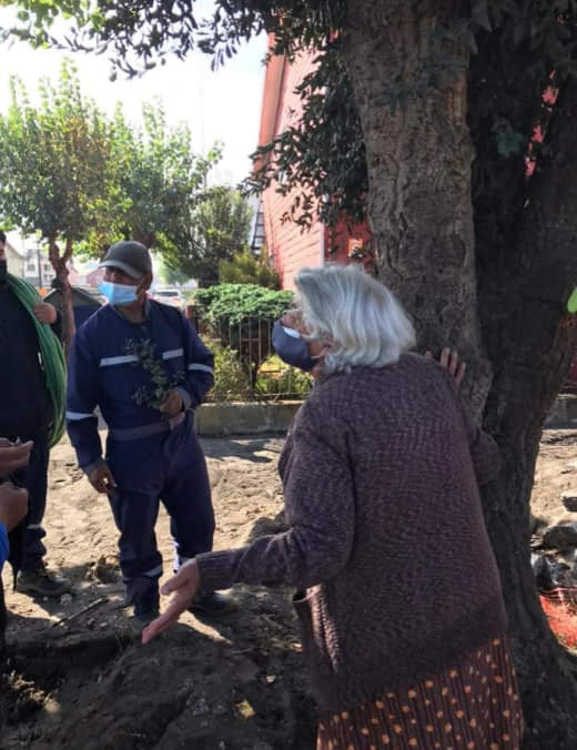 ⛔RTPOR FAVOR PAREMOS EL ABUSO !!!
Mujer de la tercera edad impide la tala de un árbol alcornoque de 50 años en la calle Elton de Higueras #Talcahuano. Fotos de Renaciendo Talcahuano 
#ElPeorGobiernoDeLaHistoria
<a href="/munitalcahuano/">MuniTalcahuano</a> 
<a href="/ciudadania_i/">Ciudadanía Inteligente</a> 
<a href="/ValdebenitoNata/">Natalia Valdebenito</a> 
<a href="/alejandramatus/">Alejandra Matus</a>