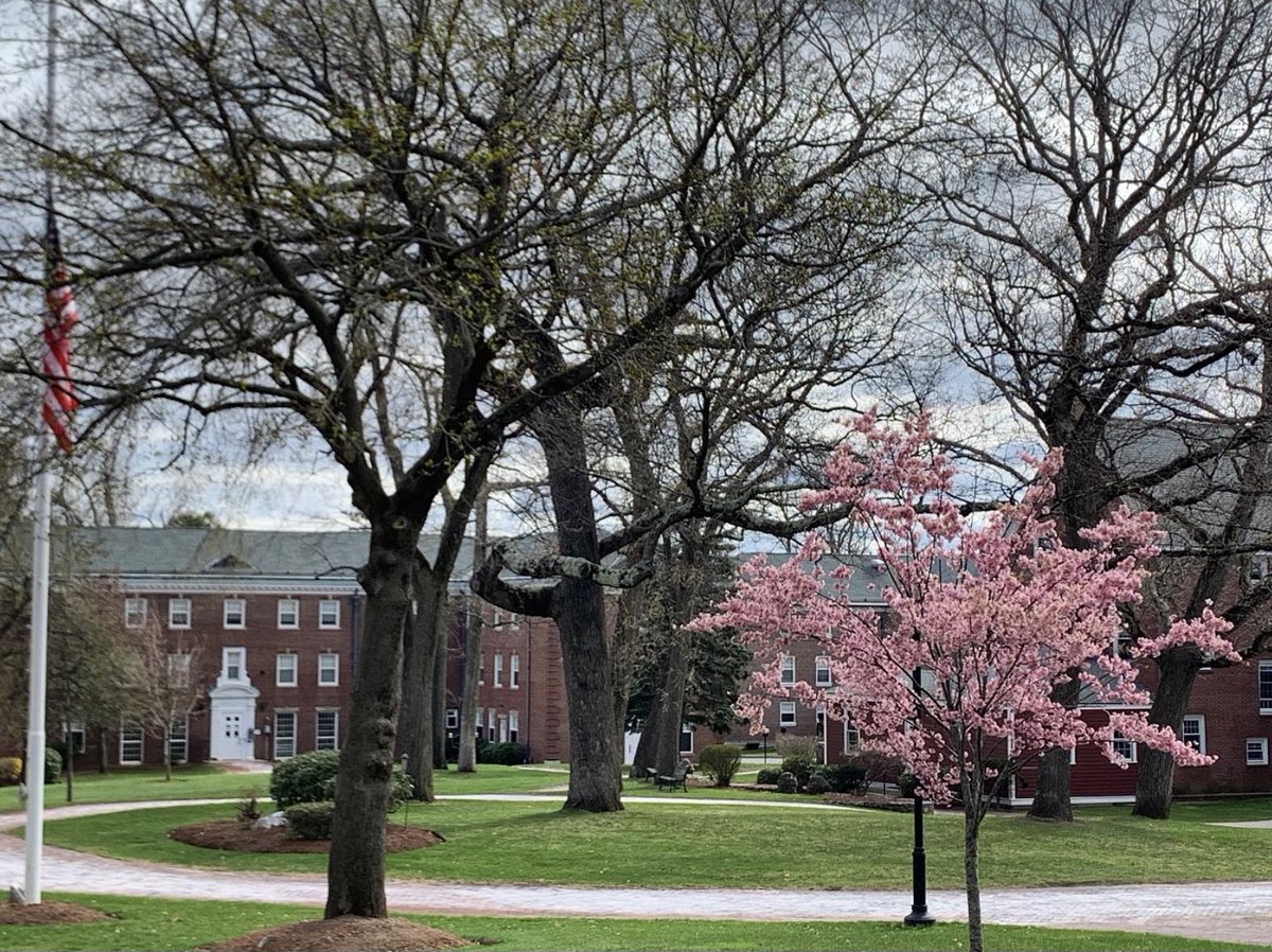 FramStateAdmit's tweet image. Spring has sprung and so have our visit opportunities!
Register for an in person or remote tour below!
admissions.framingham.edu/portal/ug-even…