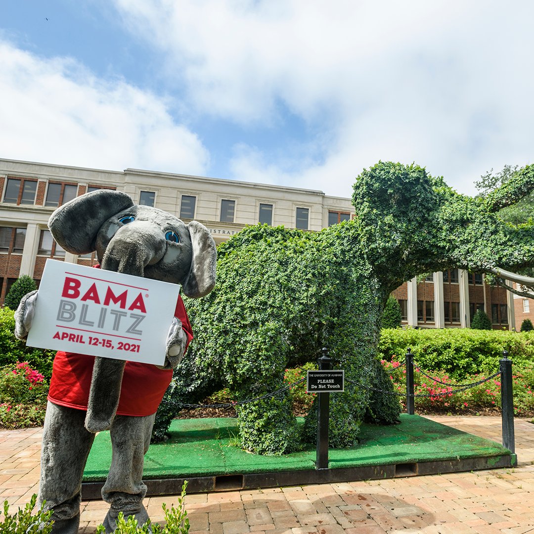 UA_CCHS's tweet photo. #BamaBlitz is 5 days away! Starting at noon on April 12 and ending at 11:59 pm on April 15, YOU can help build tomorrow's legends by giving to our Reach Out and Read Program at University Medical Center. Learn more about our passion project at https://t.co/yvb938bunF https://t.co/VcWCizYXre