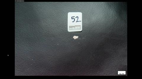 Anderson also marked the object in this photograph. "It was a small, irregular shaped piece that could've been a portion of the pill," she says.