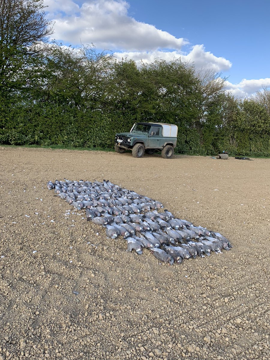 What better way to spend a day off.