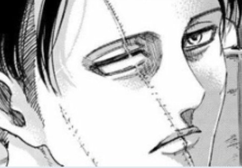 errorzyntax's tweet photo. #aot139spoilers

when Mikasa saw the bird it immediately reminded her of Eren, what if whenever Levi Ackerman sees a plane it reminds him of Hange Zoë? Plus both ackermans have scars on their faces, so every time they look at the mirror it reminds them of Eren and Hange https://t.co/x7Wn6ylKzz