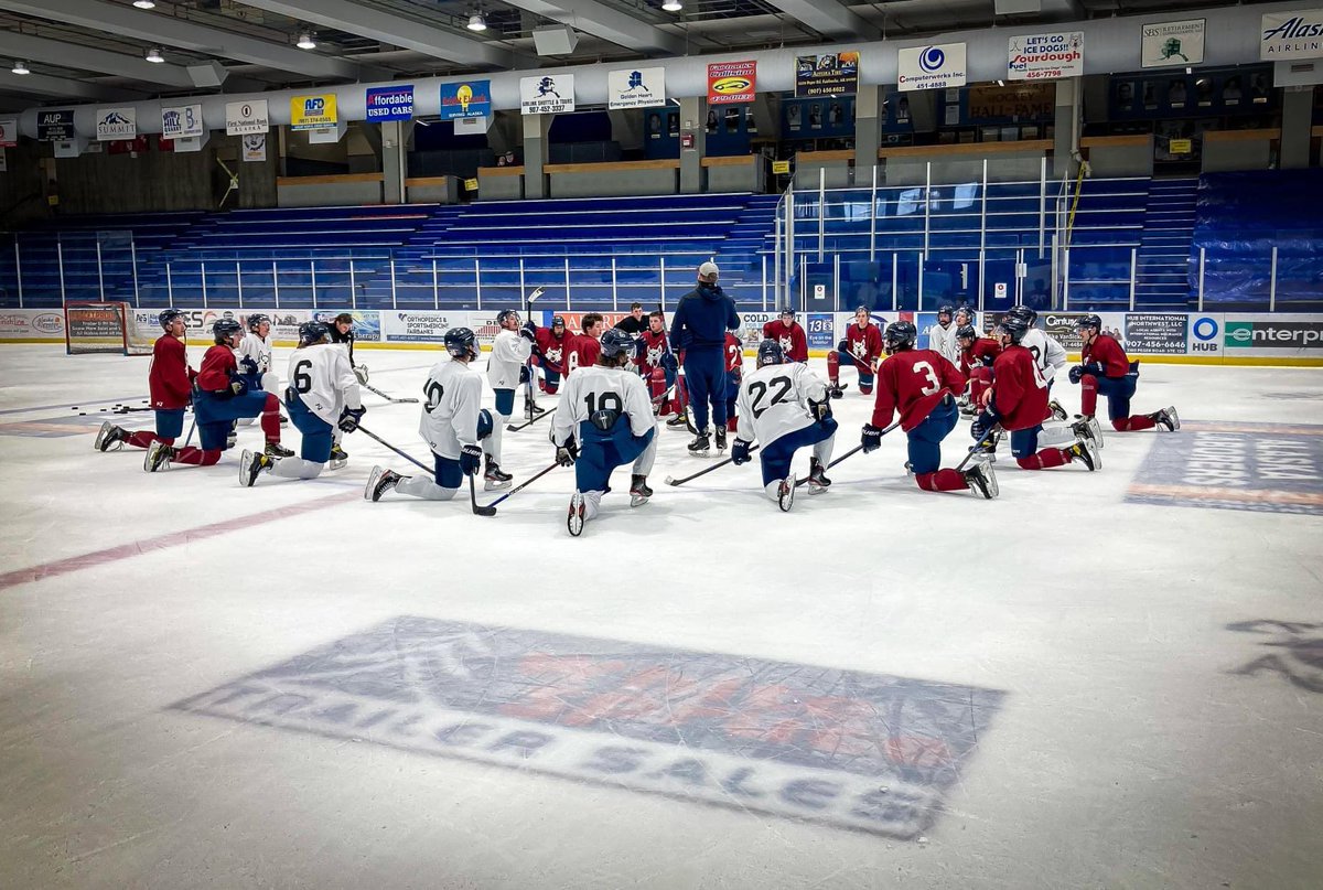 Fairbanks Ice Dogs tweet media