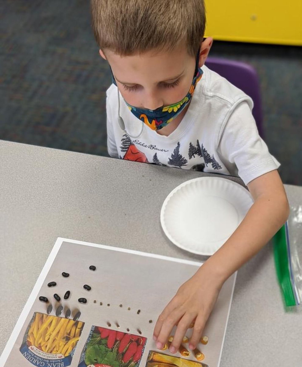 HeritageNL's tweet image. Spring has our PreK classes thinking about planting season. Today they sorted and counted seeds (and enjoyed the beautiful spring sunshine). #HCSTransform #CreationEnjoyer