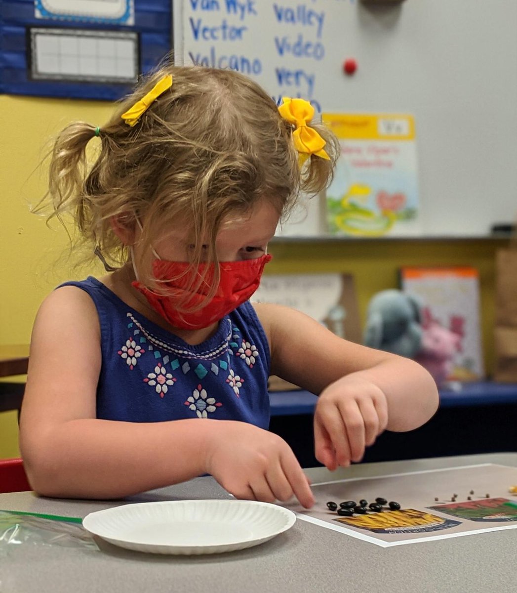 HeritageNL's tweet image. Spring has our PreK classes thinking about planting season. Today they sorted and counted seeds (and enjoyed the beautiful spring sunshine). #HCSTransform #CreationEnjoyer