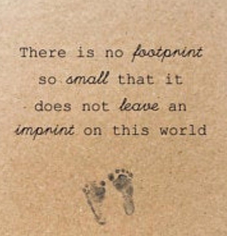 Cllr. Clodagh Higgins tweet media