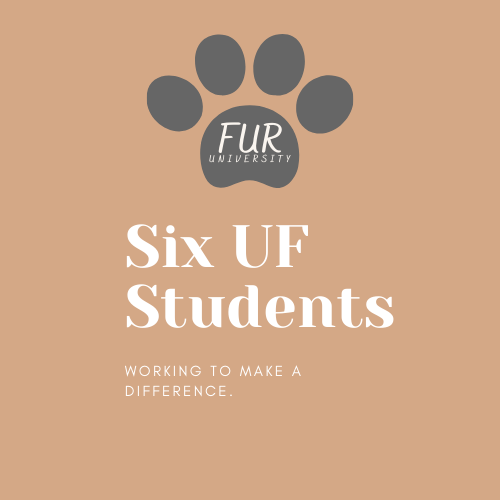 UniversityFur's tweet photo. We're six @UF students working to help the @HumaneSocNCFL end animal overpopulation. Help us reach our $750 goal by donating today! LINK IN BIO. https://t.co/2fEM6txfJt