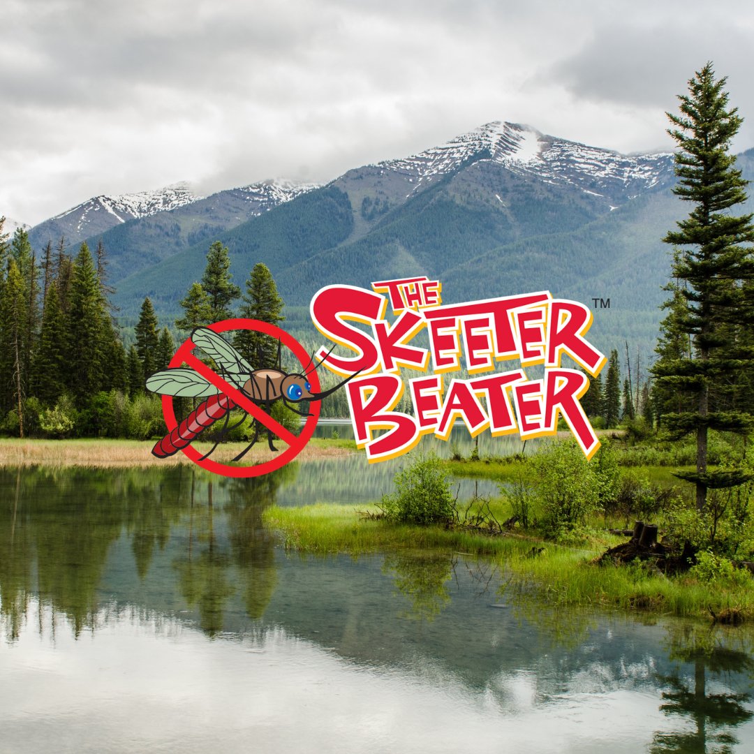 Did you know? June is National Camping Month! Be prepared by purchasing your own set of Skeeter Beater window screens today! theskeeterbeater.com