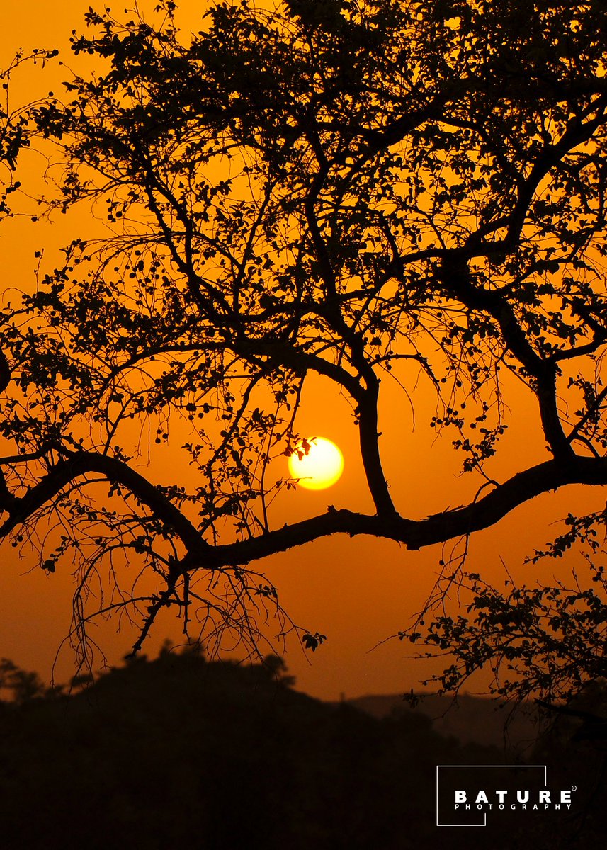 baturezing's tweet photo. The sun will rise again tommorow, and we shall try again and again.
Sunset in Zing, Taraba State, Nigeria
πΈ: @NikonUSA D90
π¨: Graded in Photoshop
π: Bature Photography
#ZingTwitter
#TarabaConnect
#ExploreTaraba
#photojournalism https://t.co/KEj1i52wq0