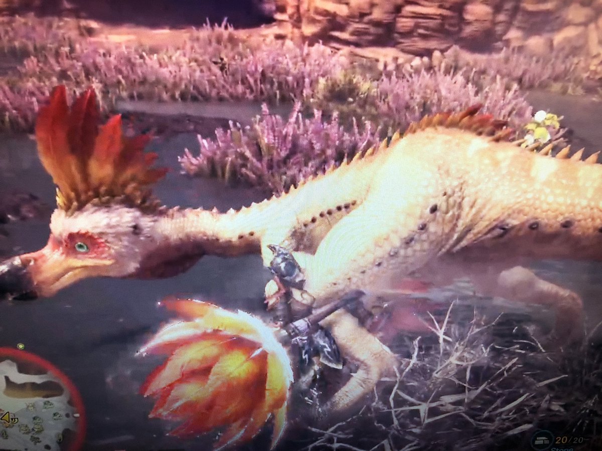 ShadowruneG's tweet photo. Hey everyone :) back after a little break! Monster Hunter World Iceborne uploads hitting the channel this week! Link to channel in bio😁 @monsterhunter @CapcomUSA_ @PlayStation https://t.co/dE7Rsb2YW6