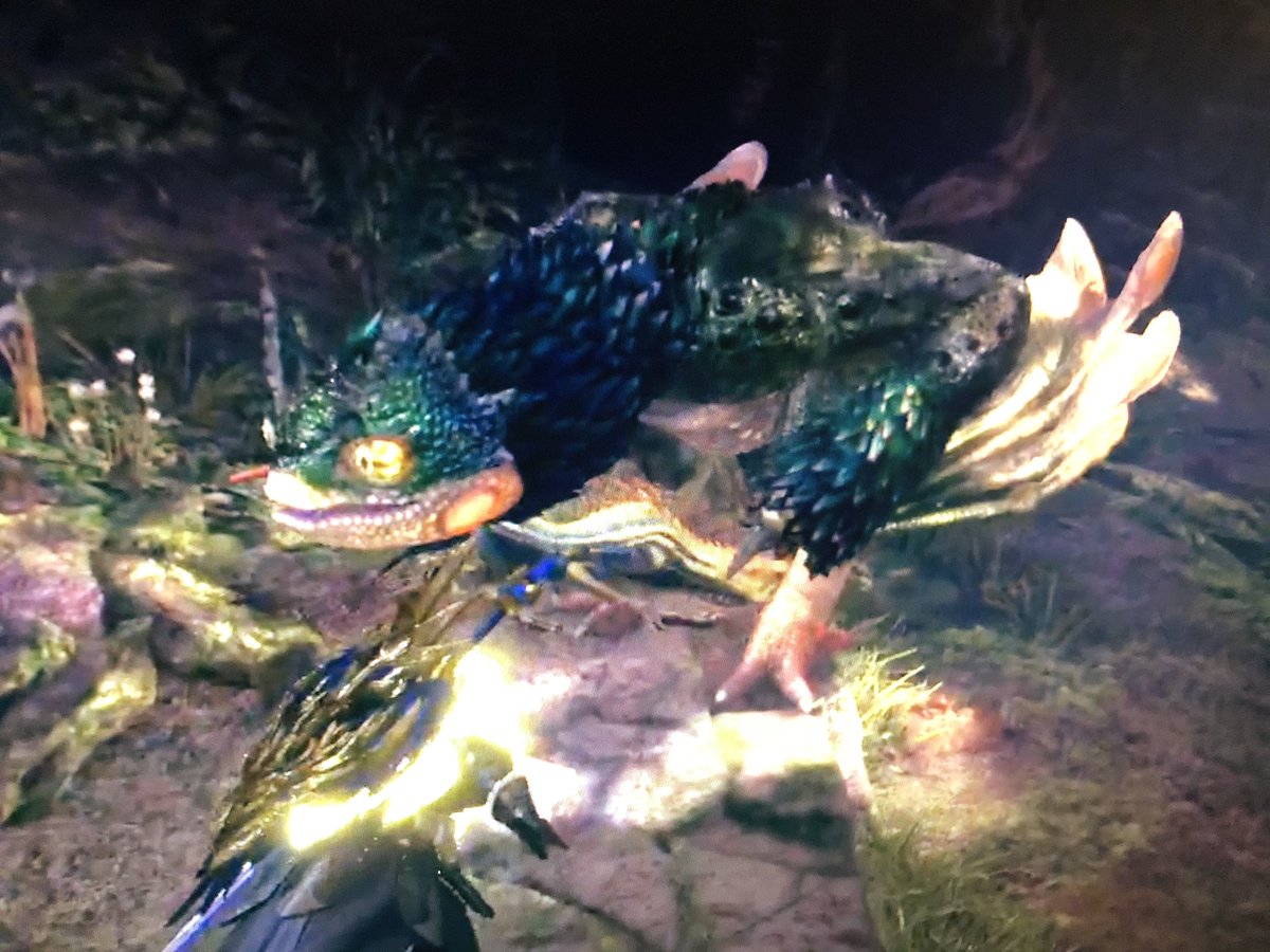 ShadowruneG's tweet photo. Hey everyone :) back after a little break! Monster Hunter World Iceborne uploads hitting the channel this week! Link to channel in bio😁 @monsterhunter @CapcomUSA_ @PlayStation https://t.co/dE7Rsb2YW6