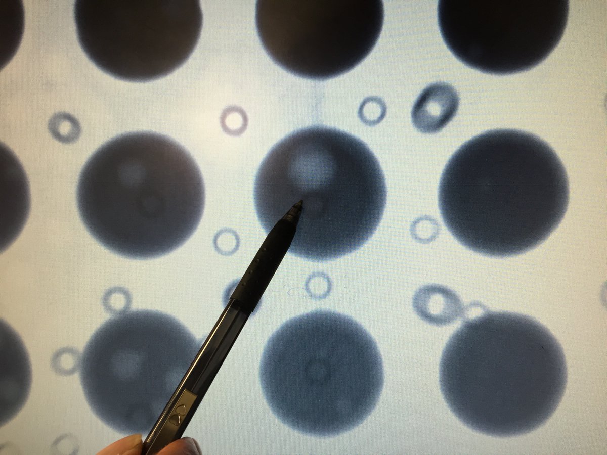 summit_pcb's tweet image. Understand the basics of BGAs and how to use them in your next design. hubs.la/H0KKZdy0

#BGA #pcbdesigns #advancedassembly #aapcb #electricalengineers #pcbassembly #pcba #ballgridarrays