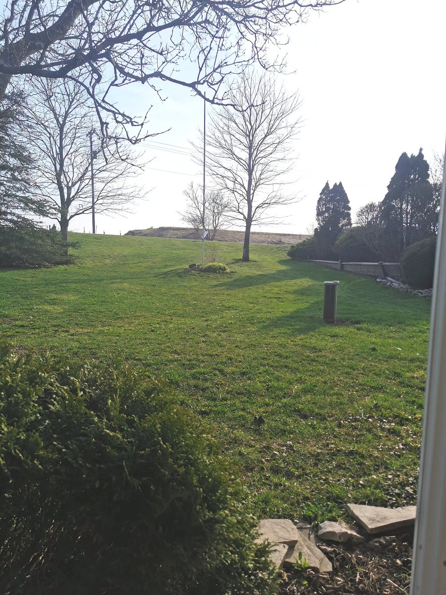 GreyTonka's tweet image. I am having a lovely day regardless of government stupidity.
#beautifulspring