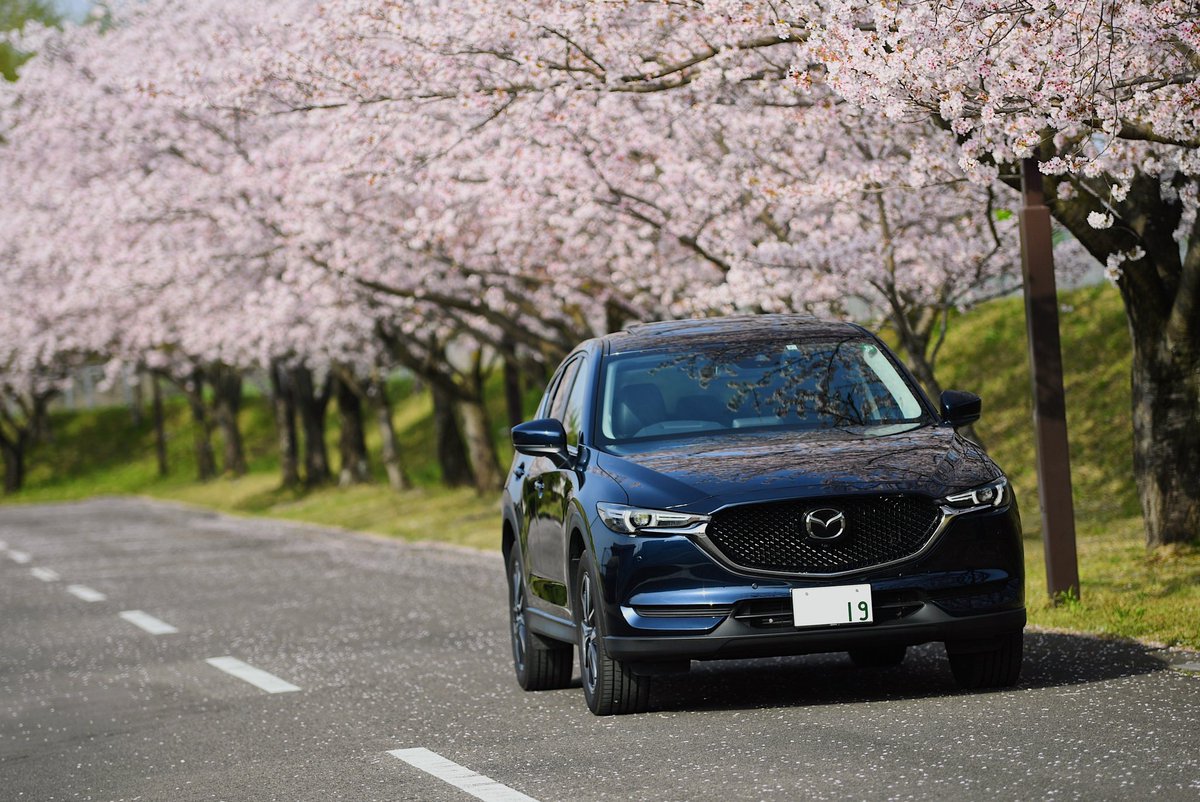 Kazuki Cx 5 Nb19 Twitter