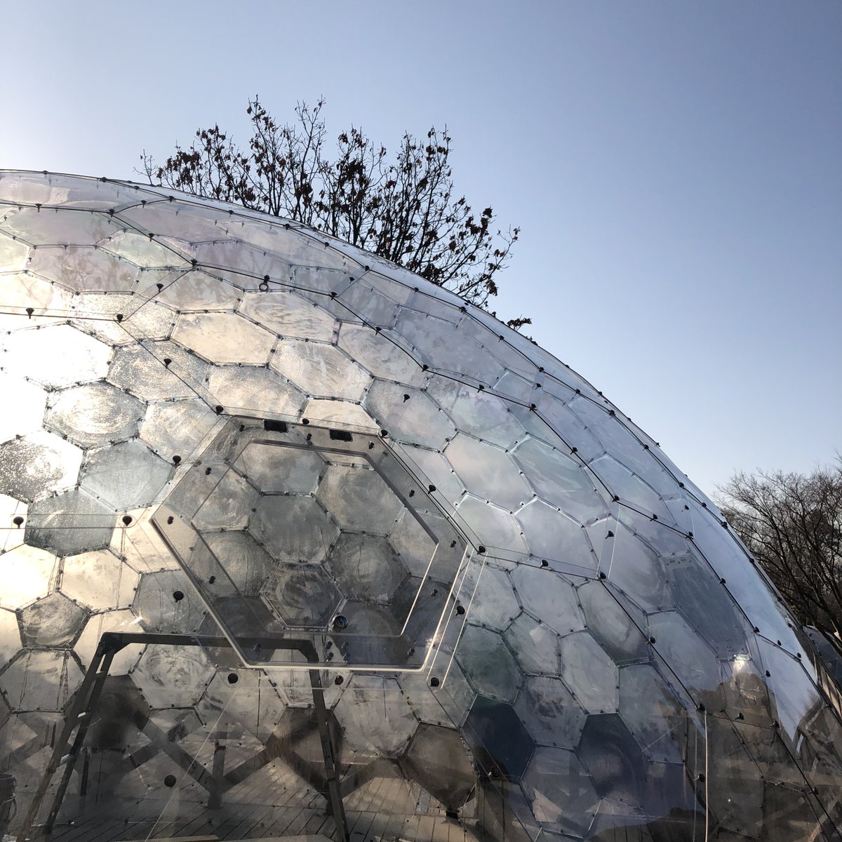 earth_dome's tweet photo. 夜露に濡れたアウラドームが、朝日に照らされキラキラと輝いている。
画になるやつです！！

詳しくは下記URLよりご覧ください。
https://t.co/8QkTAo8ZYw
https://t.co/SCbZrUSdev

#ドーム #アイデア #イベント #イルミネーション #LED #アウラドーム #創造 #作品 #空間 #グランピング #キャンプ https://t.co/kze4Jl8FLG