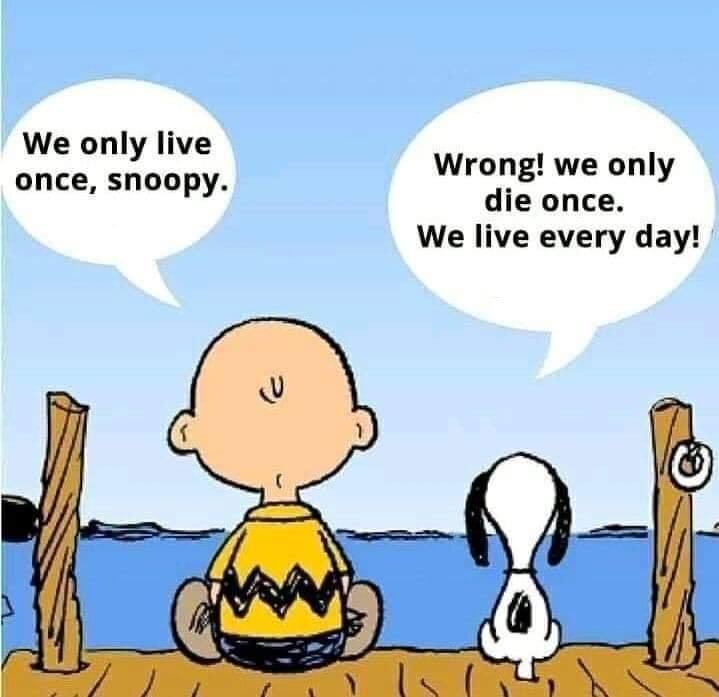 I love a Snoopy quote 💕 #bepositive