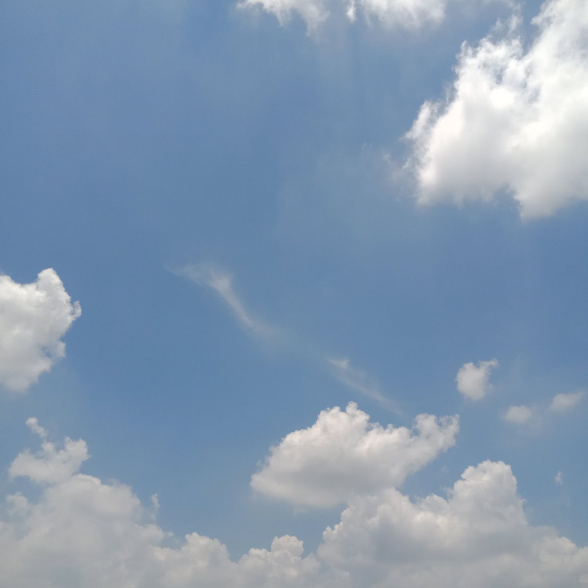 ppandsm's tweet photo. #ท้องฟ้า #sky https://t.co/mW6zayQxio