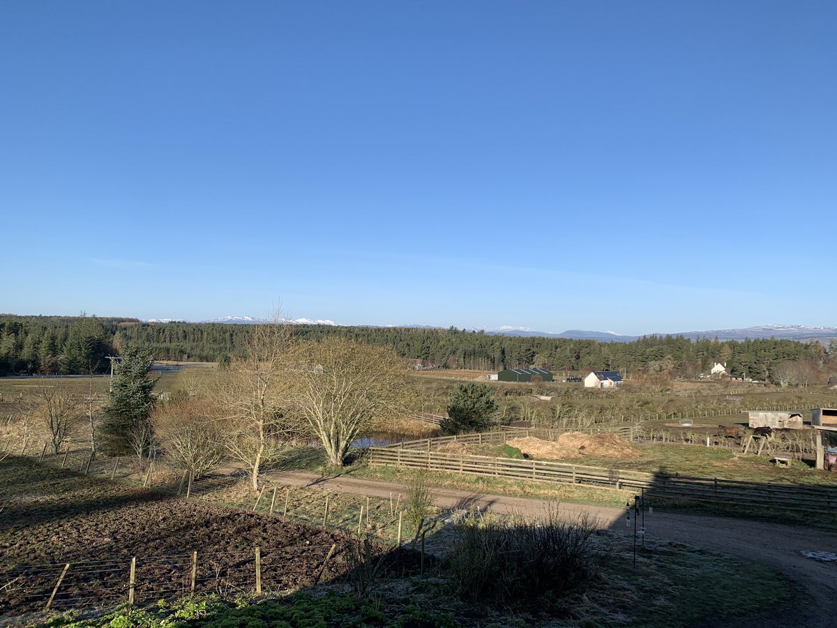 Nothing beats waking up to this view, especially on a sunny day when the birds are all out singing <a href="/Zararugosa/">Becky Richmond 💙</a> <a href="/GuidesIsle/">Black Isle Guides</a>