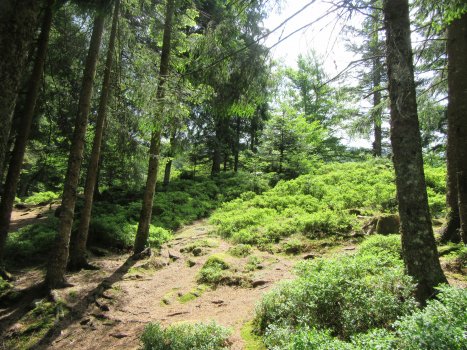 Fédération des Parcs tweet media