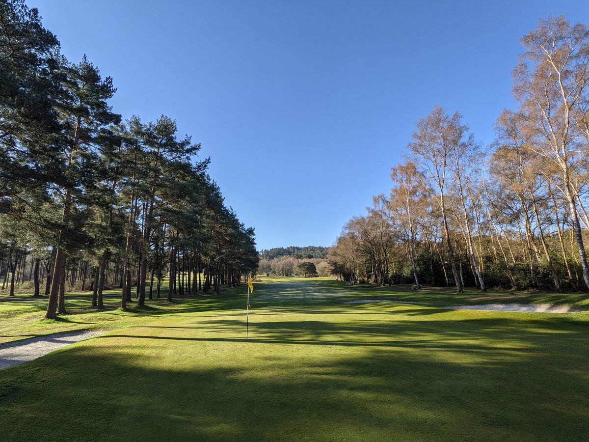 RyanAngear's tweet image. Great combo!