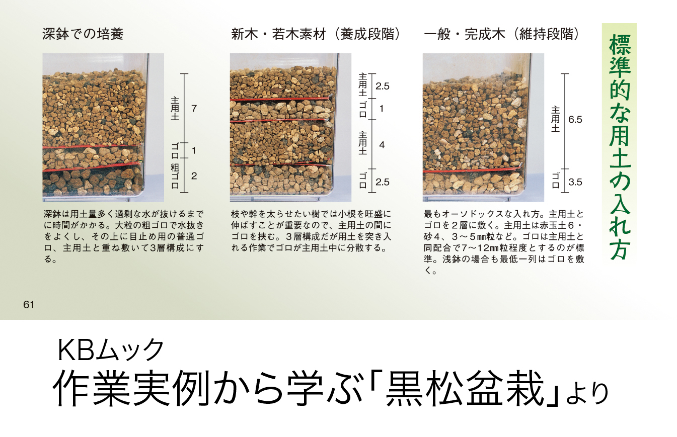 近代出版 編集部 盆栽用語集 ごろつち ゴロ土 盆栽用土は使用上の目的によりいくつかのサイズ別に分けられ その中で一番大きい粒のこと 鉢底に薄く敷きつめ その上に植え土 用土 を入れる 余り水の流出がスムーズになる 鉢穴を通して空気の流入を 近代出版 編集部 盆栽用語集 ごろつち ゴロ土 盆栽用土は使用上の目的によりいくつかのサイズ別に分けられ その中で一番大きい粒のこと 鉢底に薄く敷きつめ その上に植え土 用土 を入れる 余り水の流出がスムーズになる 鉢穴を通して空気の流入を
