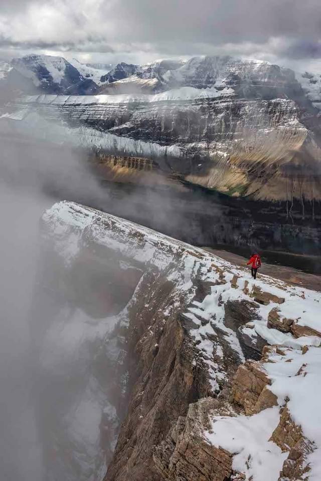 Blues Hunter tweet media