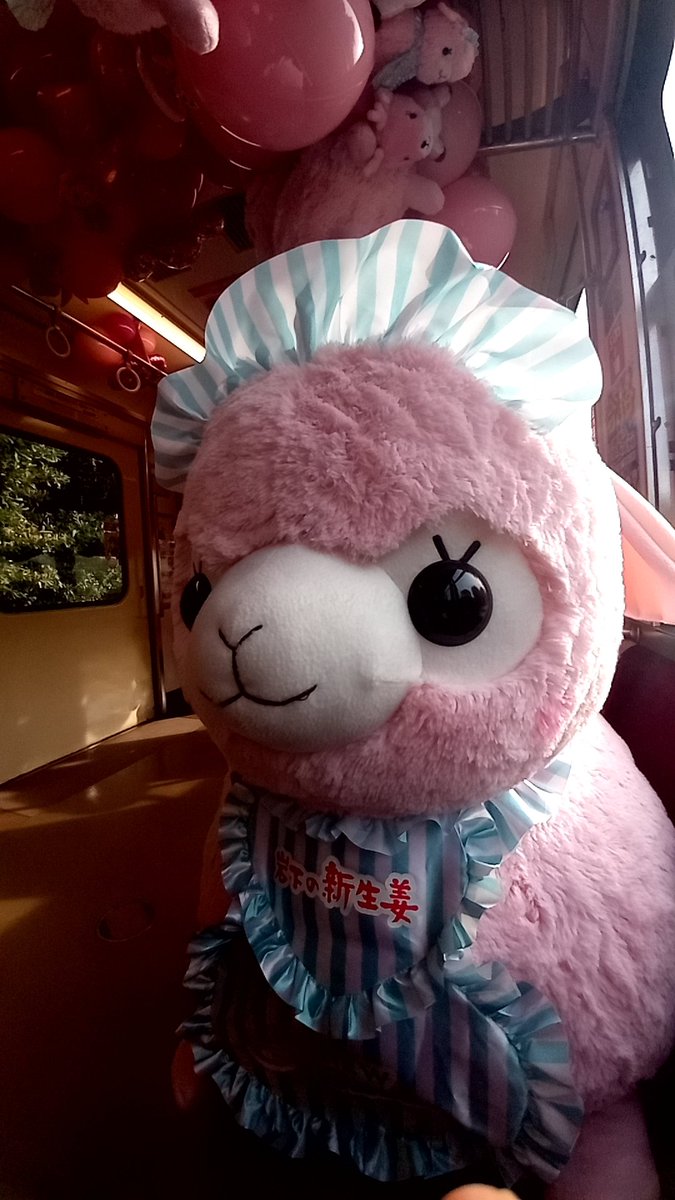 ニューピンクジンジャー号 Twitter Search