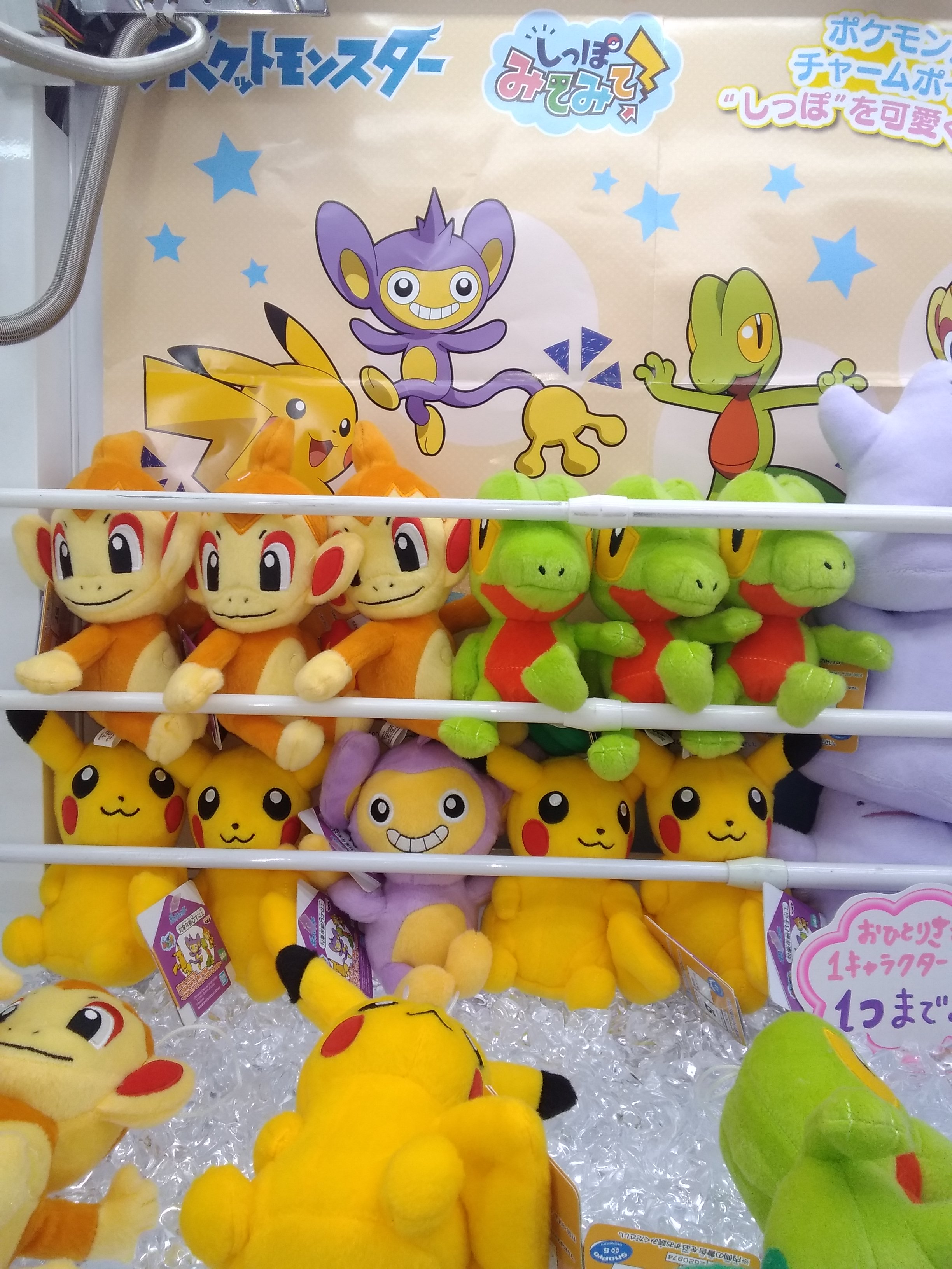 تويتر ソユーゲームフィールド熊谷店 على تويتر 景品入荷情報 ポケットモンスター しっぽみてみて ぬいぐるみ ピカチュウ エイパム キモリ ヒコザル しっぽシリーズ 安定の可愛さ ポケモンゲットだぜ ポケモン しっぽ ポケットモンスター